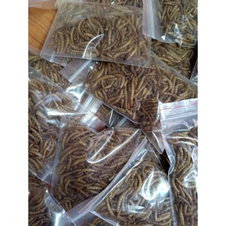 Sâu rang bơ
