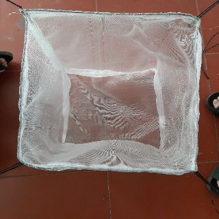 Lồng ươm cá chọi - lưới thái lan