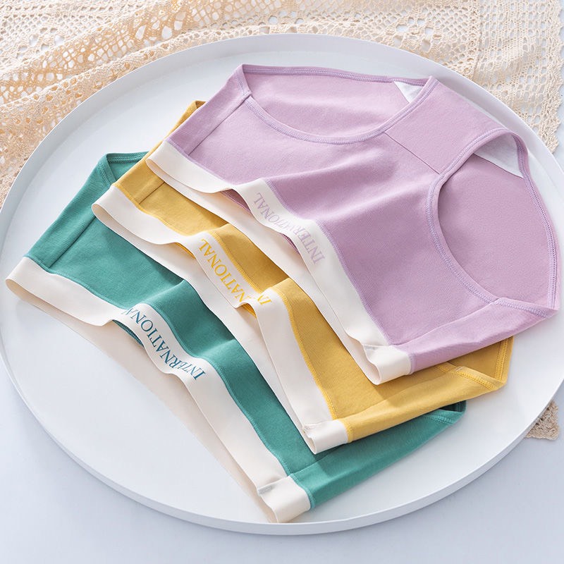 Quần lót nữ cotton lì cạp su chữ kháng khuẩn cao cấp 8858