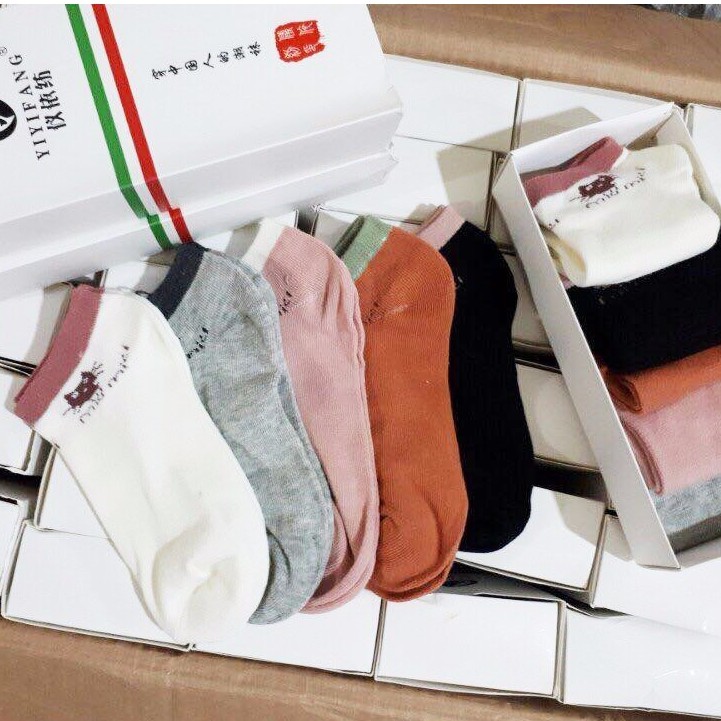 Tất vớ nữ cổ ngắn cotton mèo Miu Miu kháng khuẩn cho bạn nữ