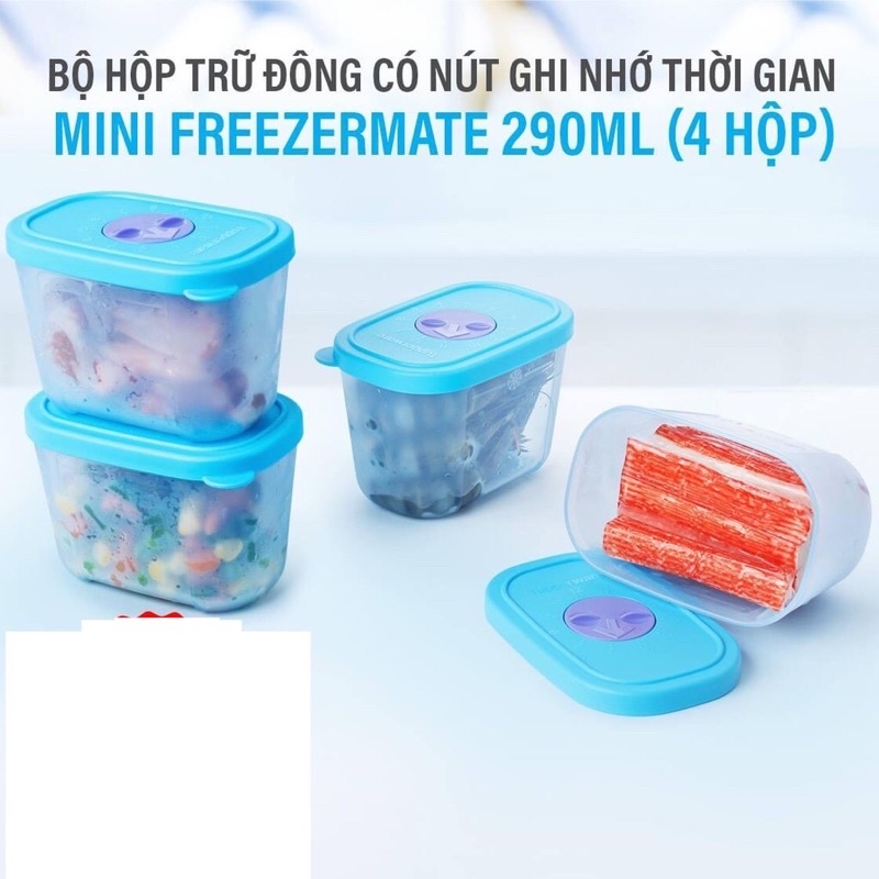 Bộ Trữ Đông mini đồng hồ Tup 4 hộp