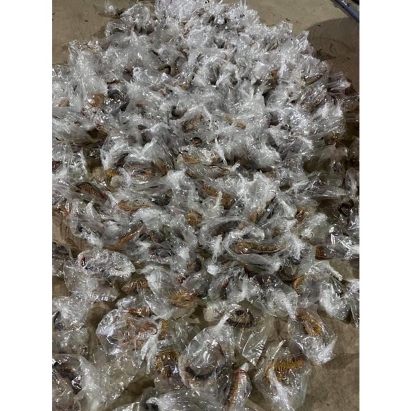 Thức ăn cá rồng rết size nhỏ