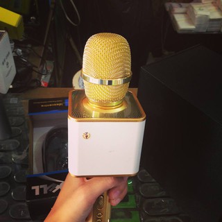 Mic hát Karaoke kiêm loa Bluetooth SD-08