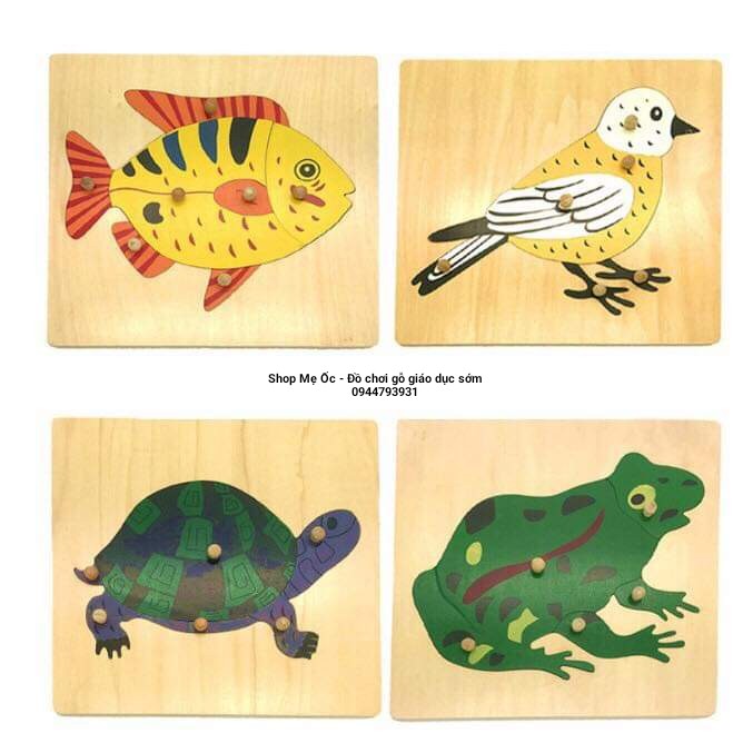 Giáo cụ Montessori bản Quốc tế - Tranh ghép sinh học