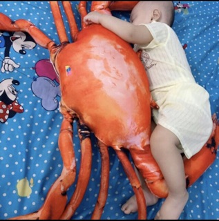 Gối ôm con Cua +Tôm bông  80cm