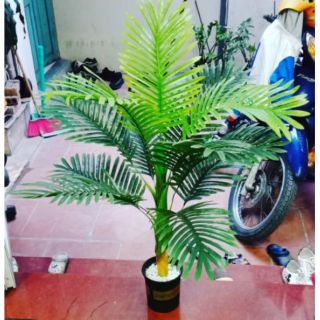 Cây dừa cảnh gỉa cao 1m - Cây giả trang trí nhà cửa, decor. Màu sắc xanh, lá mềm đẹp tự nhiên