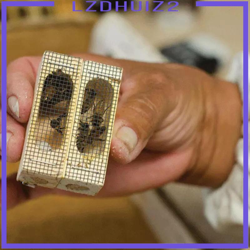 Set 5 Lồng Bắt Ong Chúa Chuyên Dụng Cho Nuôi Ong