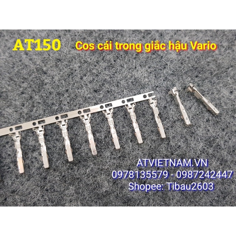 Cos cái 1.6 trong giắc đèn hậu Vario - AT150