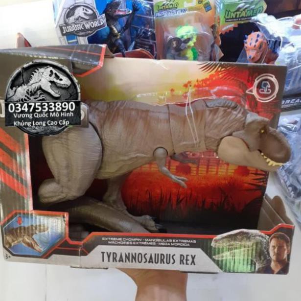 Mô hình khủng long T rex hãng Mattel mĩ LTN56