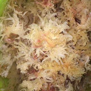 Rau câu đá khô 500g