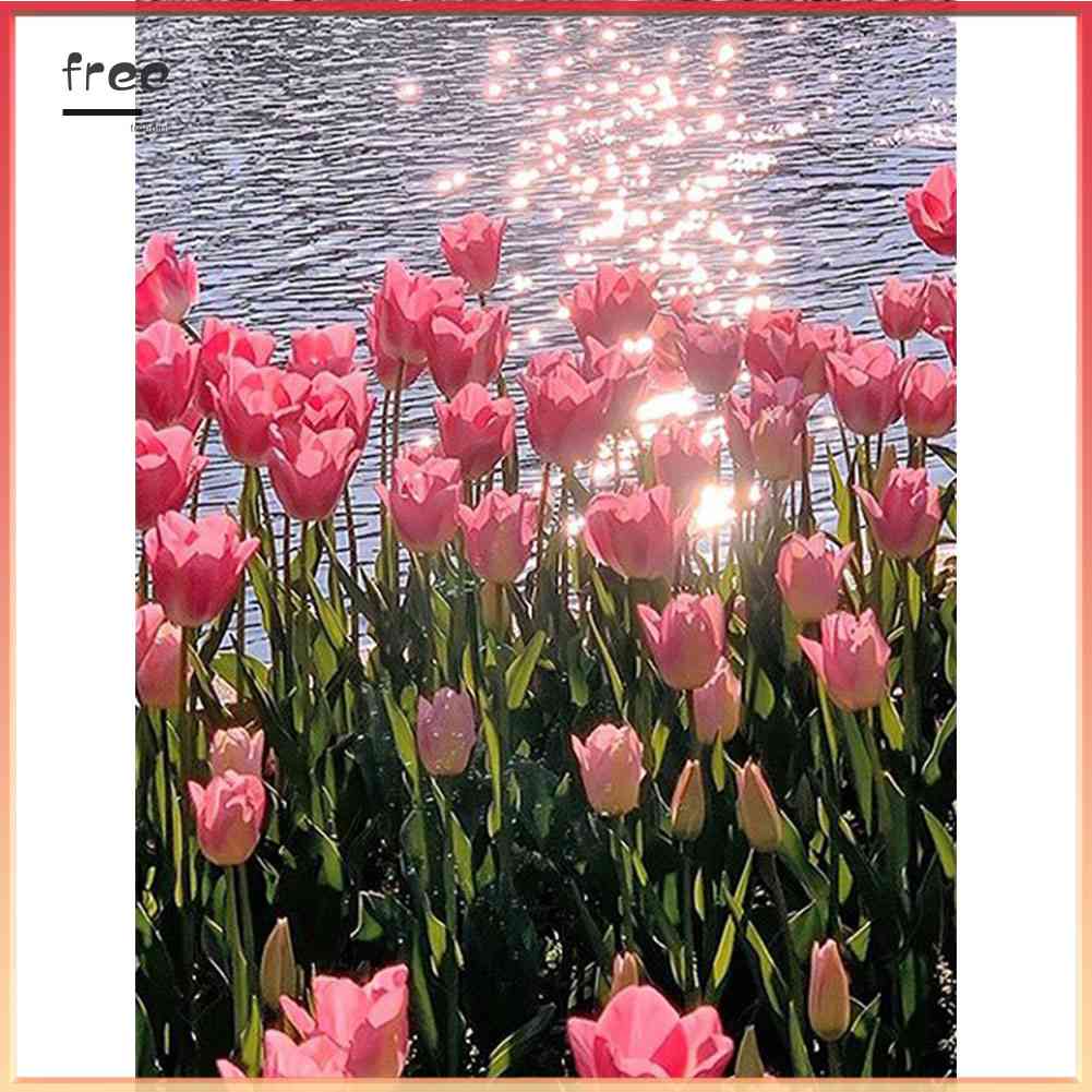 Bộ Tranh Đính Đá 5D Toàn Diện Họa Tiết Hoa Tulip Độc Đáo DIY