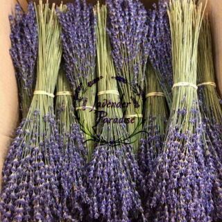 Bó hoa khô Lavender nguyên bản #NB001