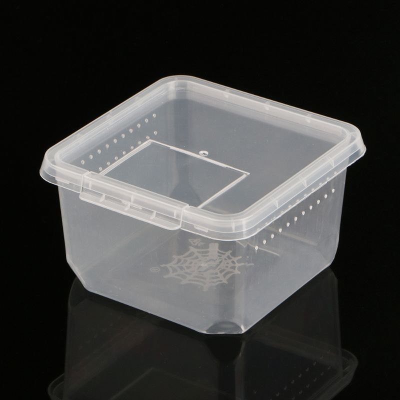 Hộp Đựng Thức Ăn Cho Bò Sát 4 7X4 7X3