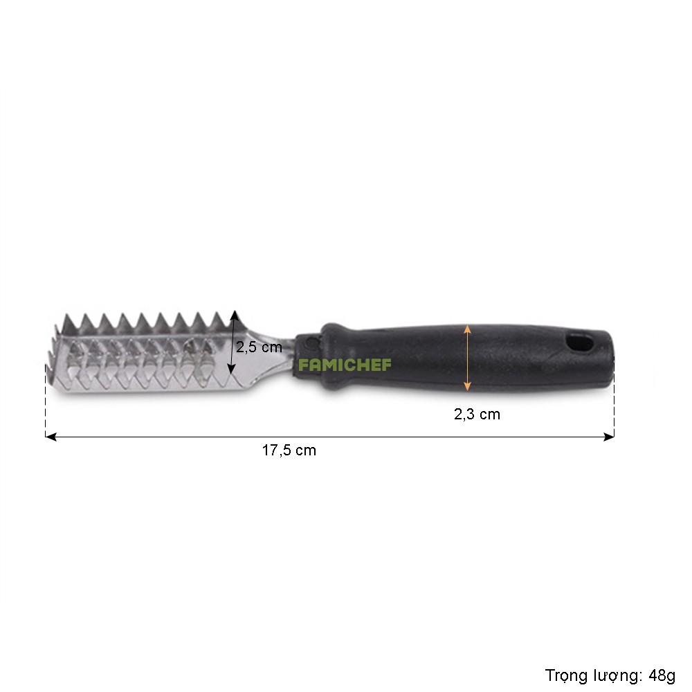 Dụng cụ đánh vảy cá tay cầm nhựa Dragon D035