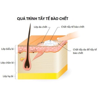 Tẩy tế bào chết Jsaem