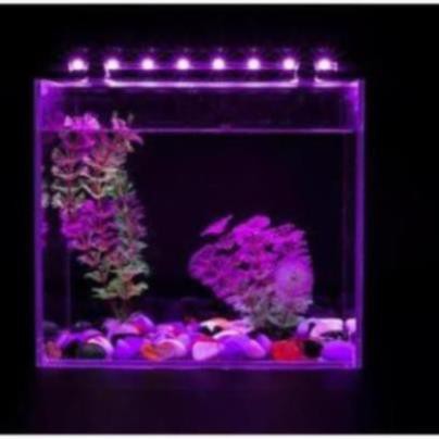 Đèn led chìm hồ cá 80cm
