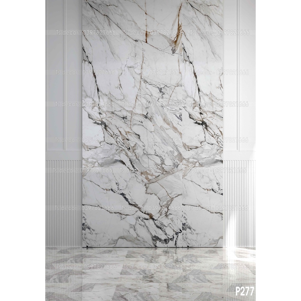 Phông nền  Livestream chụp ảnh 3D 5D cho các Studio