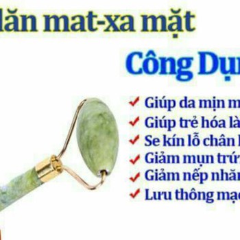 Cây lăn mặt đaá xanh