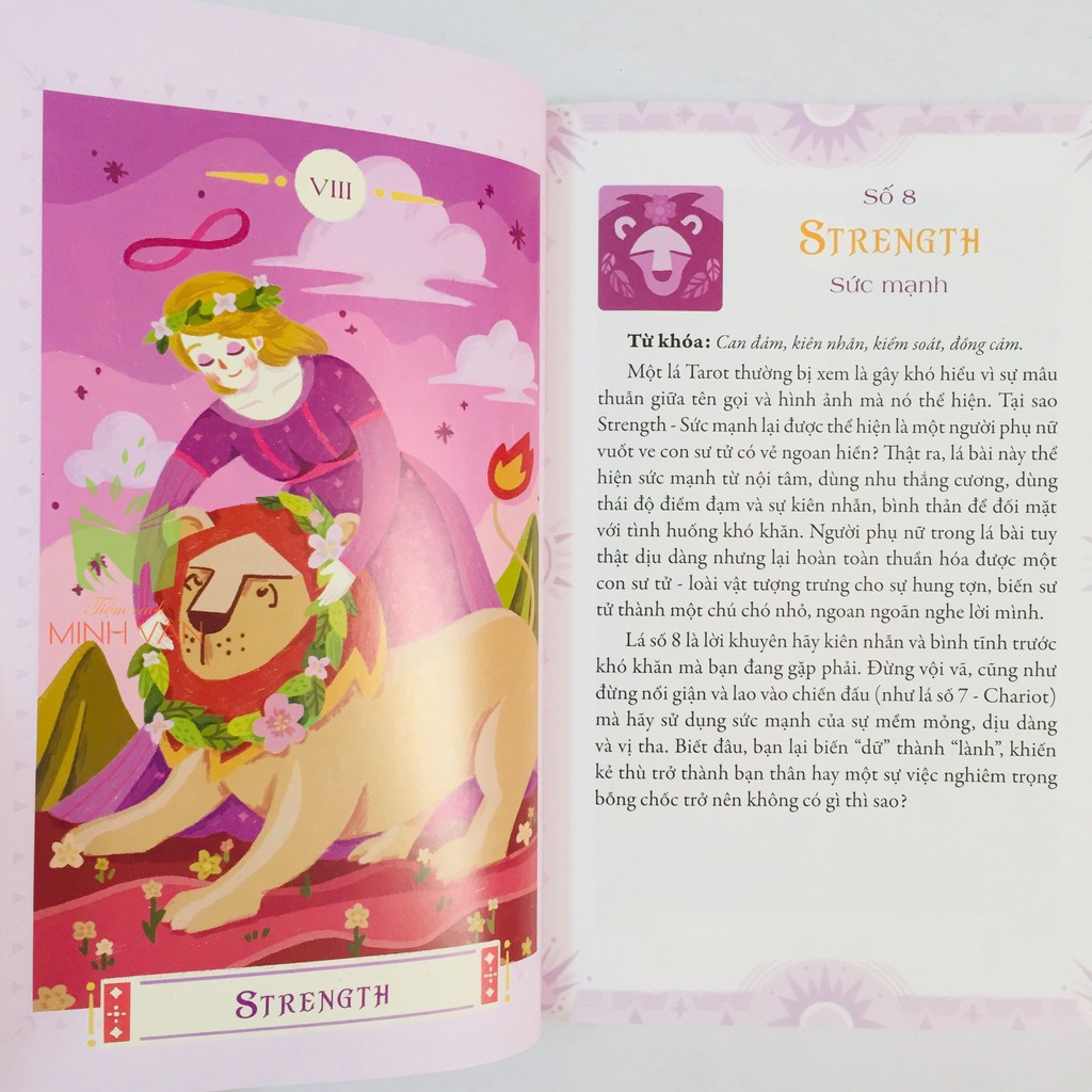 Sách – Tarot hằng ngày – Hỏi nhanh đáp gọn | BigBuy360 - bigbuy360.vn