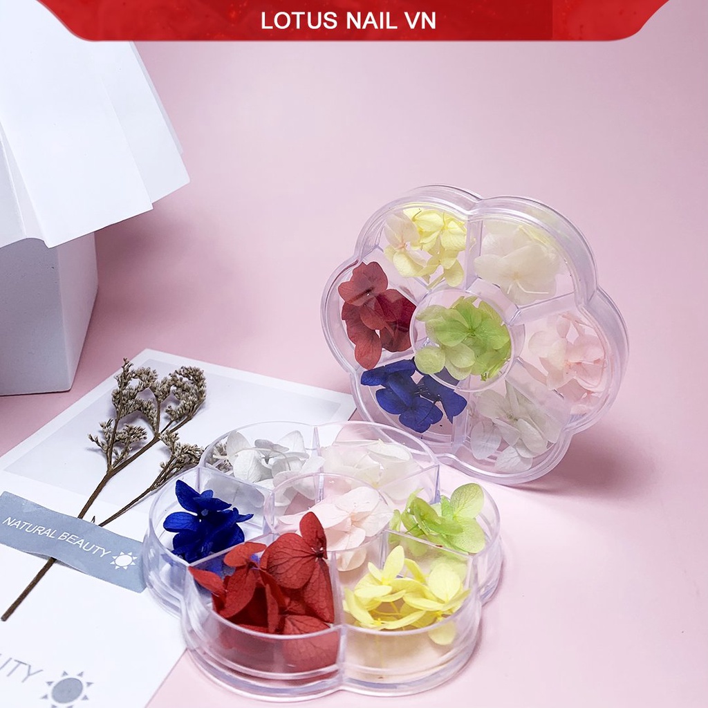 Hoa khô nail, hoa khô lụa tú cầu trang trí móng khay 7 màu