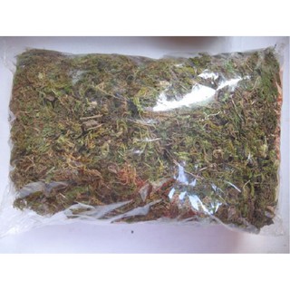 RÊU RỪNG TRỒNG LAN 500g