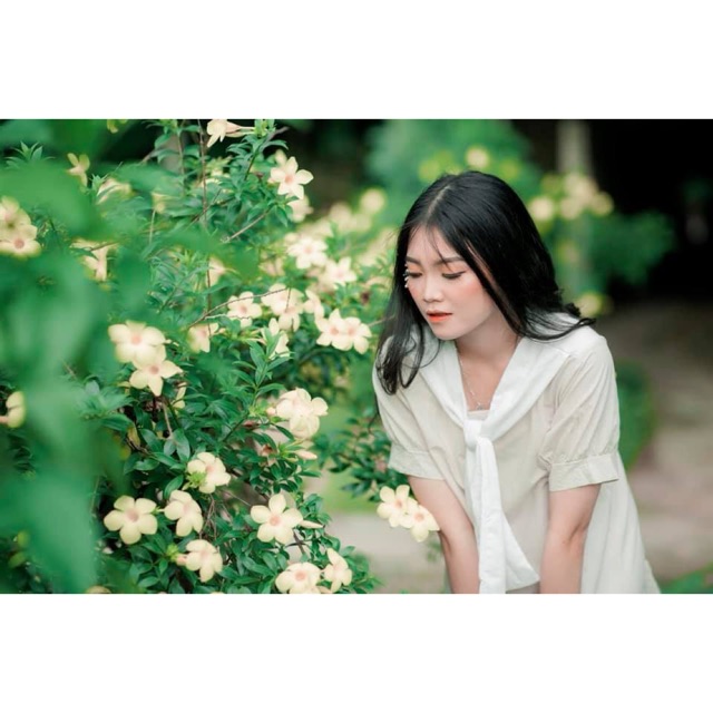 Văn Ngọc Phượng Cenly