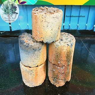 (CỤC) XỈ THAN TỔ ONG SIÊU LỌC NƯỚC - NGUYÊN VẸN_SEN ĐÁ BUÔN MA THUỘT