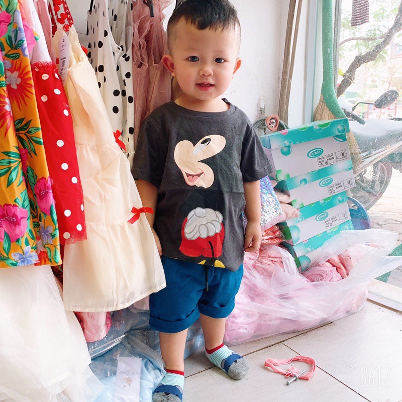 Quần short nhiều màu - RABBITSHOP