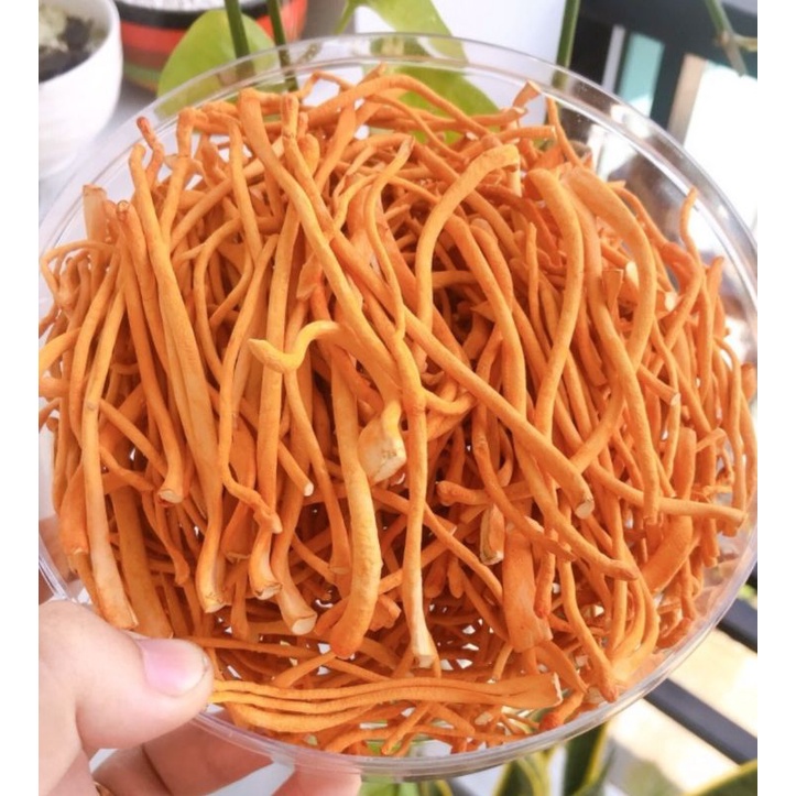 Nấm đông trùng hạ thảo sấy thăng hoa loại 1 chất lượng cao 10gram Chính hãng | BigBuy360 - bigbuy360.vn