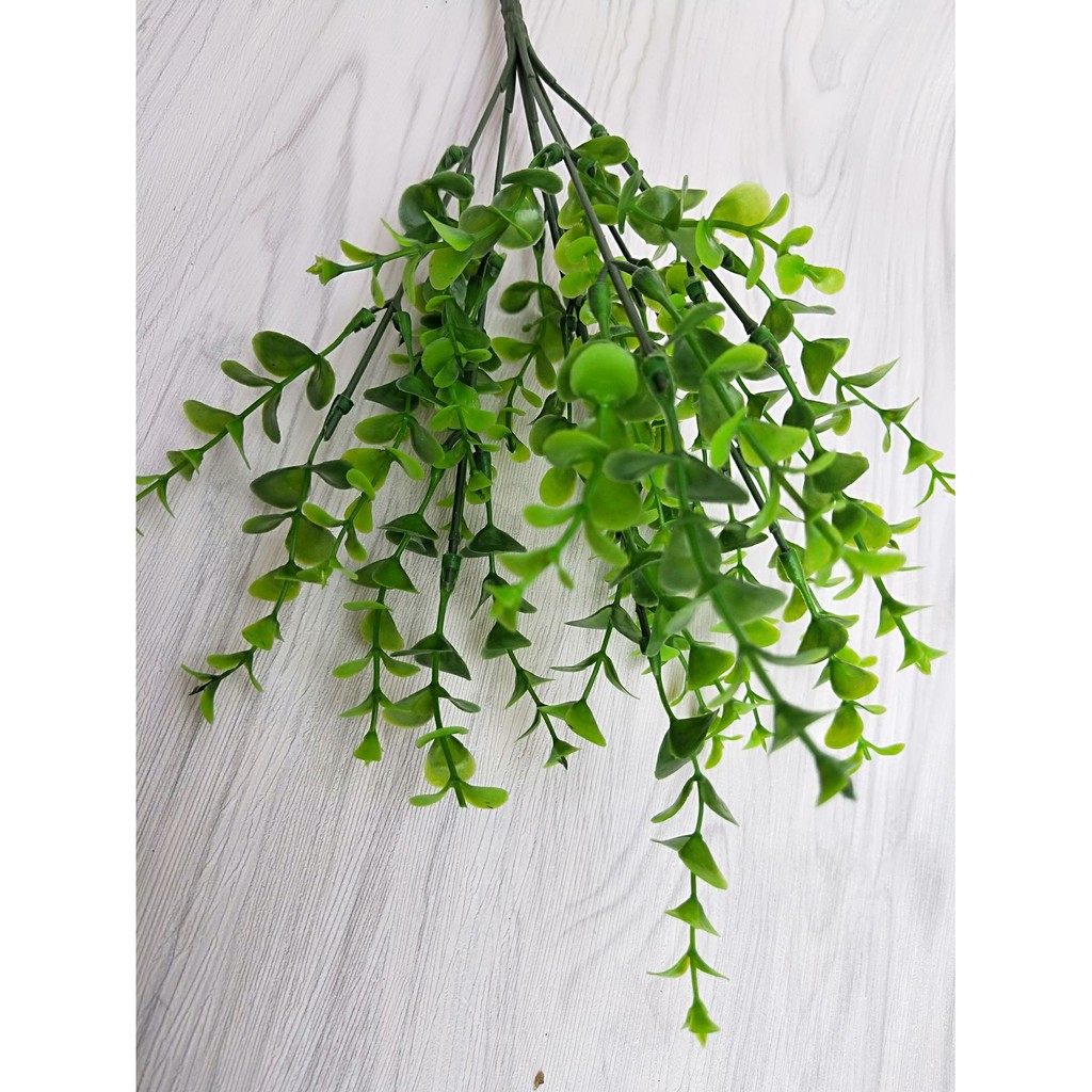 Chùm lá thực vật trang trí VI045