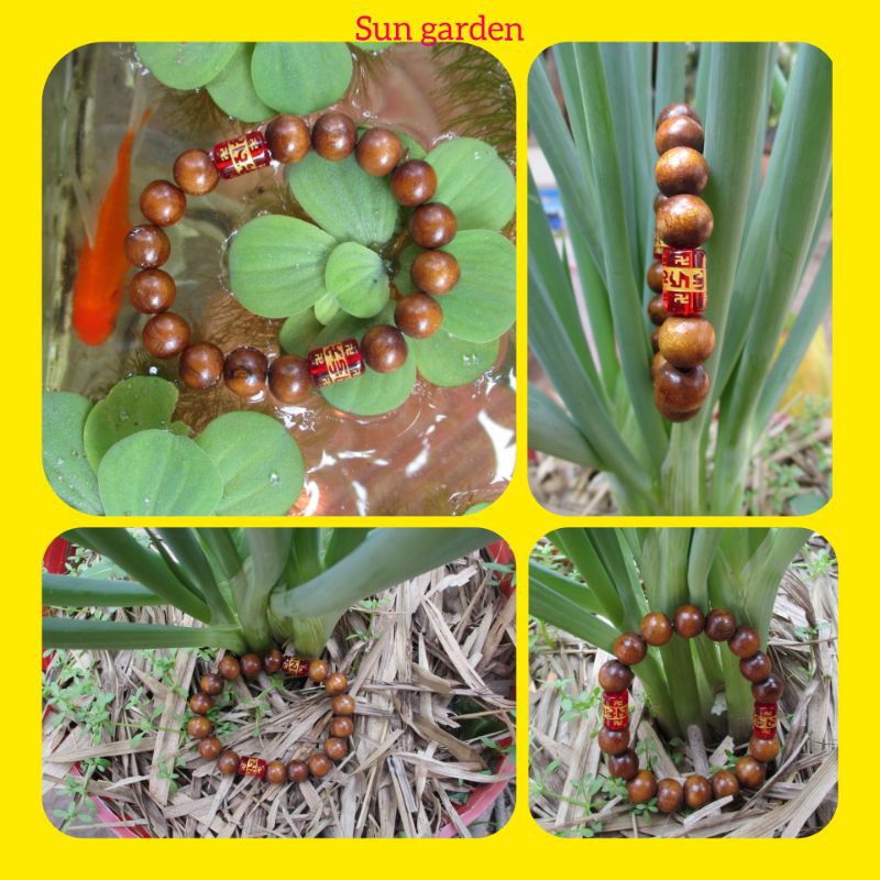 Vòng tay gỗ dâu tằm cho người lớn unisex