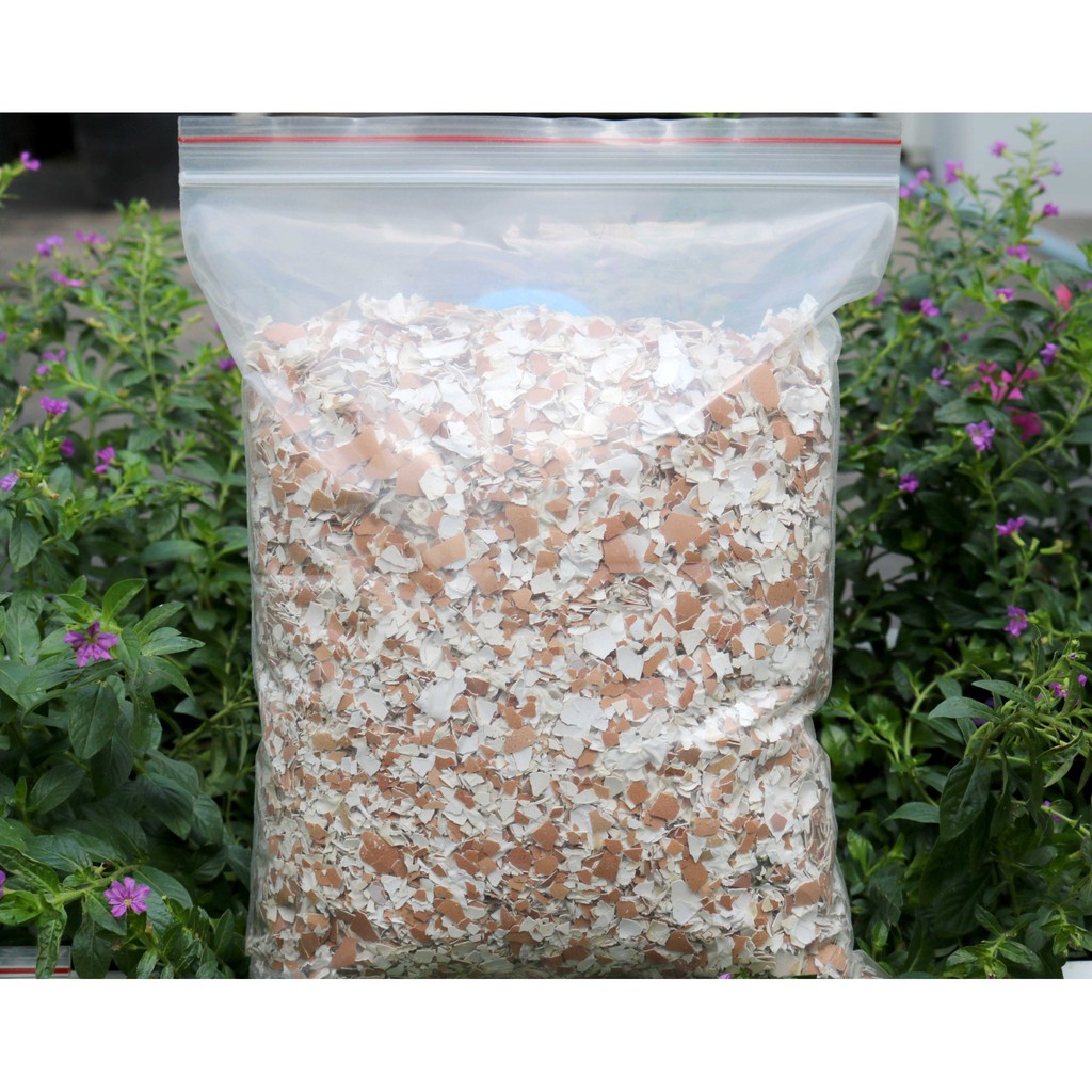 500g Vỏ trứng Oganic gà đã xử lý bón cây bổ sung canxi chống rụng hoa, nứt quả