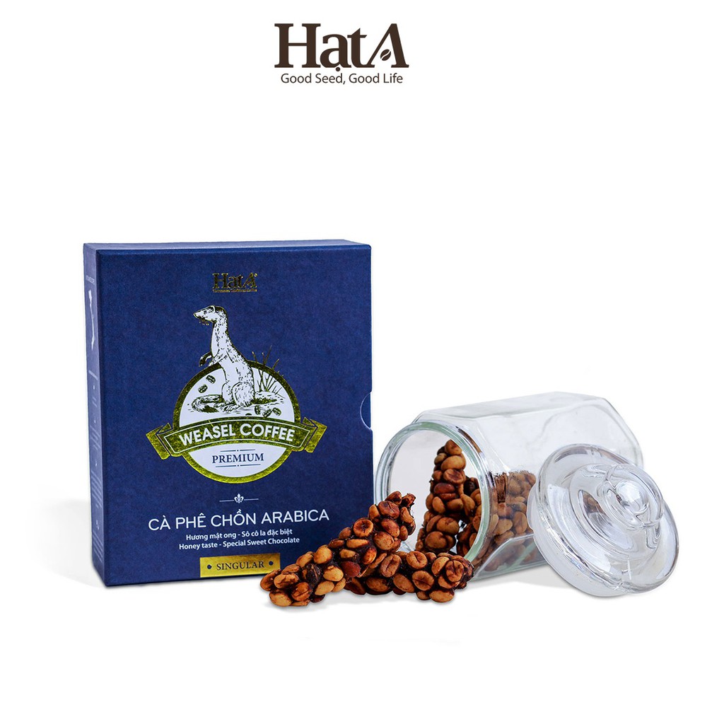 Cà phê chồn thượng hạng Hạt A Cafe Premium Weasel Coffee 100% hạt Arabica hương mật ong - socola đặc biệt 120gr