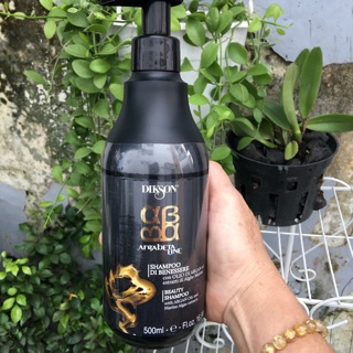 Dầu gội phục hồi tóc Argabeta Collagen Dikson - 500ml