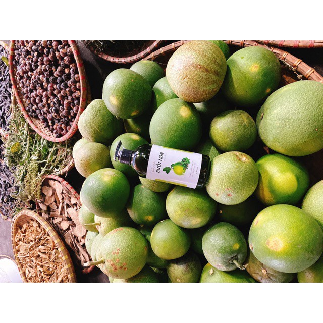 Dầu gội bưởi non kích thích mọc tóc, phục hồi tóc hư tổn chai 480ml | BigBuy360 - bigbuy360.vn