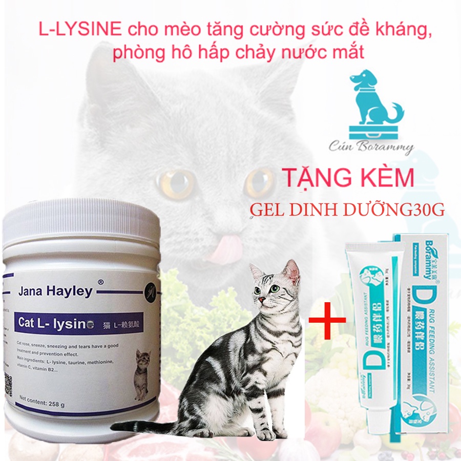 Lysine cho mèo tăng cường sức đề kháng, phòng hô hấp chảy nước mắt L-Lysine mèo