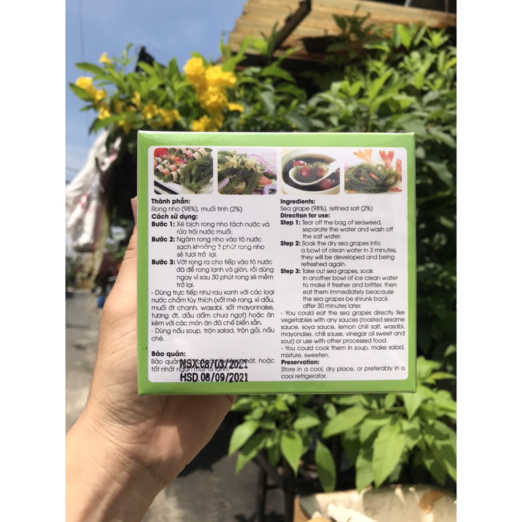 [Mã 267FMCGSALE giảm 8% đơn 500K] Rong Nho Tách Nước Sea Viet hộp 220gram/11 gói | BigBuy360 - bigbuy360.vn