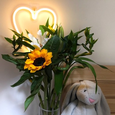 Đèn neon hình trái tim, chữ Love trang trí phòng ngủ