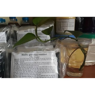 MEDAVI/TÓC XUÂN/NƯỚC TẮM THẢO DƯỢC/NƯỚC GỘI ĐẦU THẢO DƯỢC/HỒI PHỤC TÓC HƯ TỔN