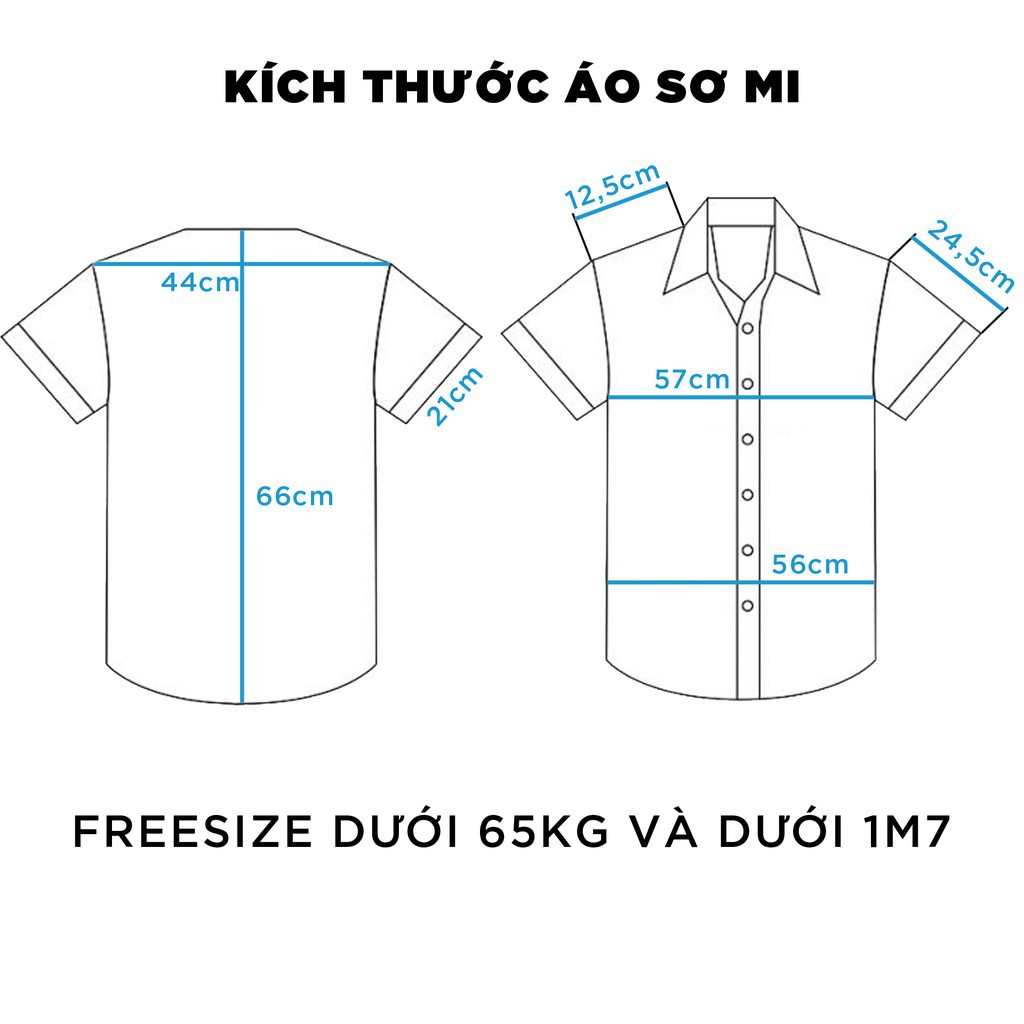 Áo sơ mi nữ in 3D cổ bẻ tay ngắn - lỡ dáng ulzzang freesize form rộng unisex mặc cặp, nhóm, in hình TƯỢNG AI CẬP ་