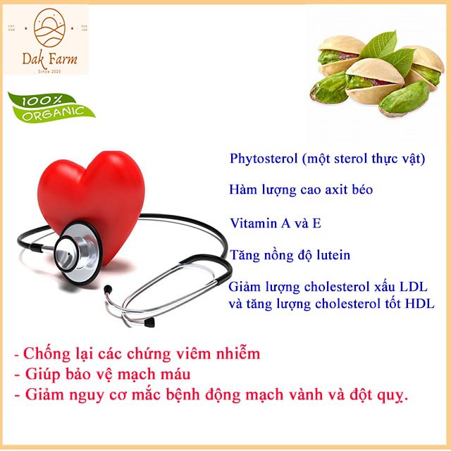 [ĂN LÀ GHIỀN_500GR] HẠT DẺ CƯỜI RANG MUỐI, đặc sản Tây Nguyên, nguồn gốc rõ ràng, đảm bảo chất lượng.