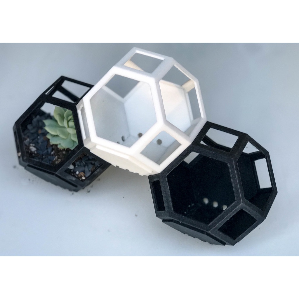 Chậu cây sen đá