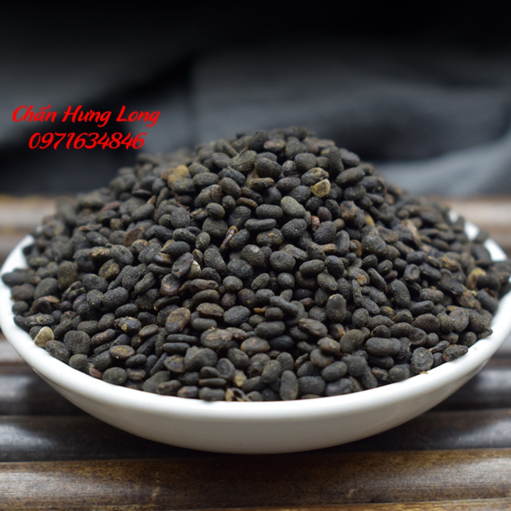 Bổ Cốt Chỉ - Phá Cố Chỉ 100g - Trị thận hư, di tinh, hoạt tinh, tiêu chảy, đái dầm, tiểu nhiều - Trà thảo mộc DaysTea