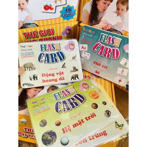 Bộ Thẻ Học Thông Minh 16 Chủ Đề loại to song ngữ tiếng Anh loại chuẩn Glenn Doman Flashcard