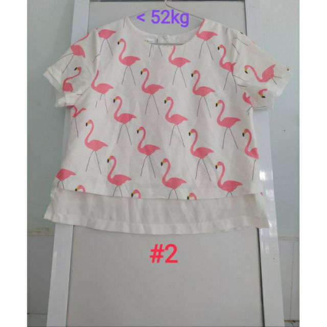 Áo kiểu si Hàn nhiều mẫu