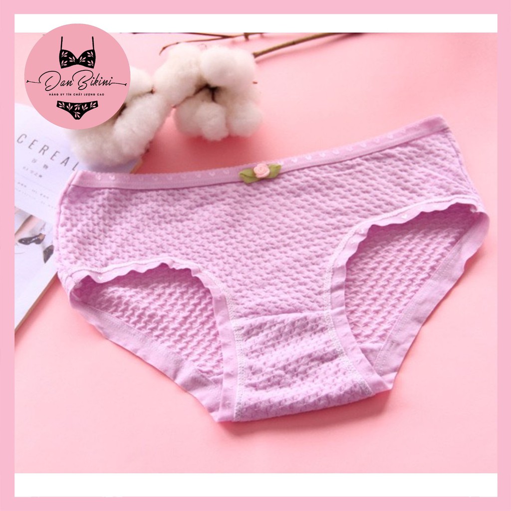 Quần Lót Nữ Cotton kháng khuẩn thoáng mát được chọn màu mã 9040 | BigBuy360 - bigbuy360.vn