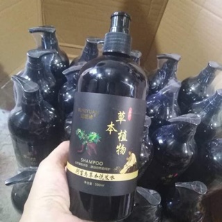Dầu gội thảo dược hà thủ ô