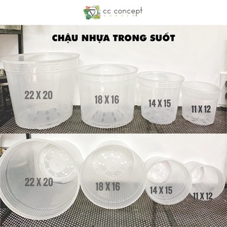 Chậu Nhựa Cứng Trong Suốt (4 kích thước)