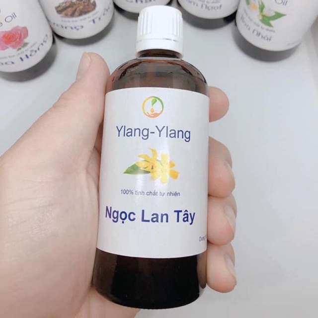 Tinh dầu xông hương Ngọc Lan Tây