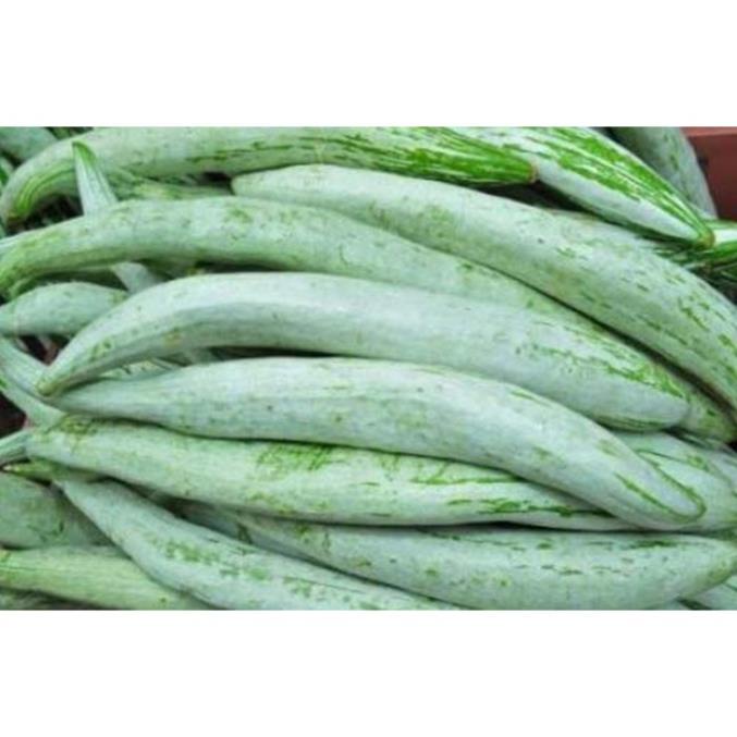 Hạt Giống Khổ Qua Tây  - Dễ Trồng, Bổ Dưỡng - MUA 3 TẶNG 1 CÙNG LOẠI